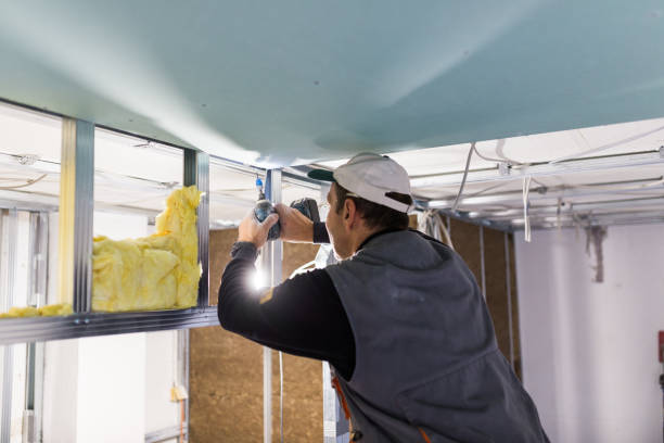 Best Insulation for New Construction  in Oak Island, NC