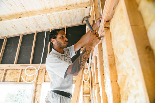 Best Spray Foam Insulation  in Oak Island, NC