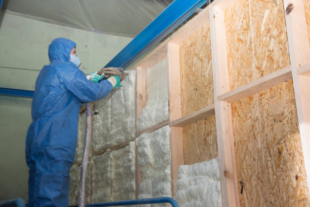 Best Insulation Removal Services  in Oak Island, NC